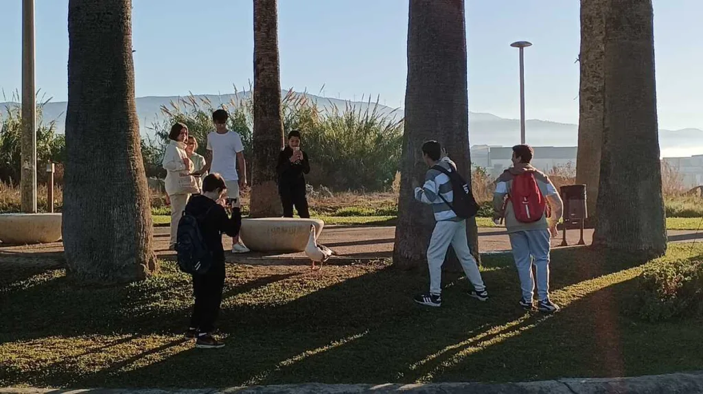 Alumnos fotografiando un ave en el parque de los pueblos de américa de Motril